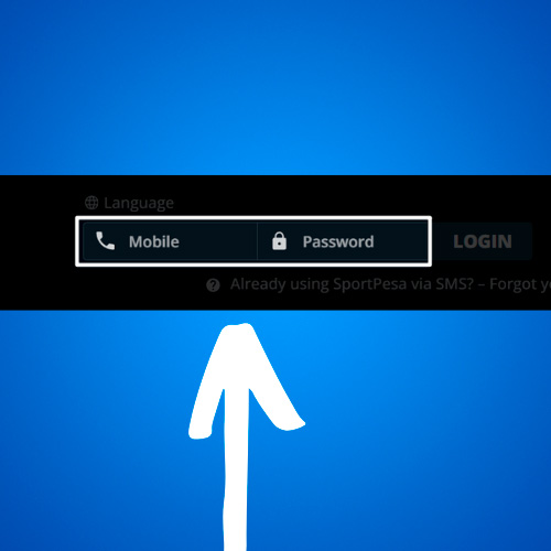 On the Sportpesa website, enter your login and password